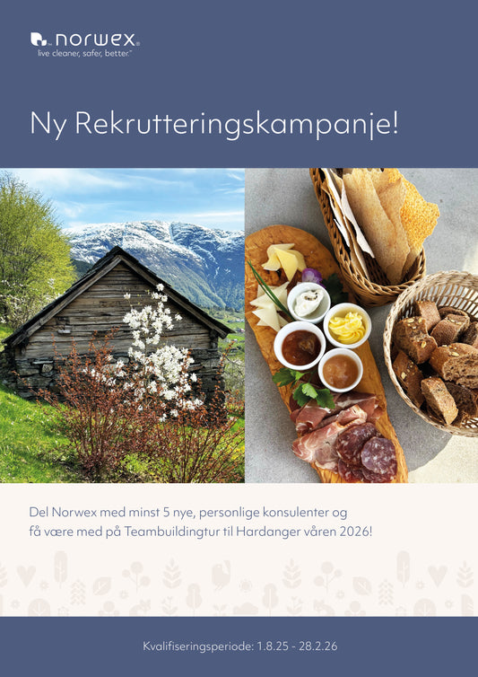 Rekrutteringskampanje - PDF